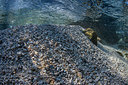 BUITEN BEELD Foto: 292590