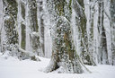 BUITEN BEELD Foto: 292623