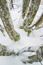 BUITEN BEELD Foto: 292643