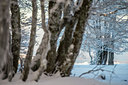 BUITEN BEELD Foto: 292665