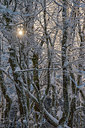 BUITEN BEELD Foto: 292670