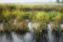 BUITEN BEELD Foto: 292741