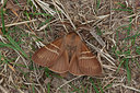 BUITEN BEELD Foto: 292755