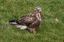 BUITEN BEELD Foto: 292762