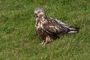BUITEN BEELD Foto: 292766