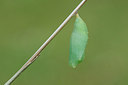 BUITEN BEELD Foto: 292782