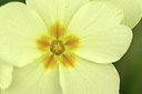 BUITEN BEELD Foto: 292813