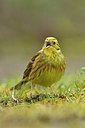 BUITEN BEELD Foto: 292829