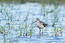 BUITEN BEELD Foto: 292969