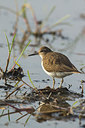 BUITEN BEELD Foto: 292976