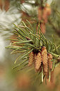 BUITEN BEELD Foto: 292995