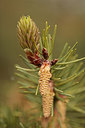 BUITEN BEELD Foto: 292996