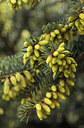 BUITEN BEELD Foto: 292999