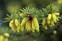 BUITEN BEELD Foto: 293000