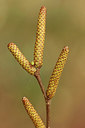 BUITEN BEELD Foto: 293007