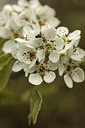 BUITEN BEELD Foto: 293014