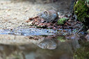 BUITEN BEELD Foto: 293076