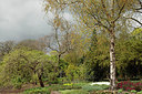 BUITEN BEELD Foto: 293095