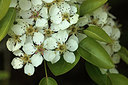 BUITEN BEELD Foto: 293120
