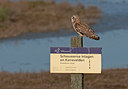 BUITEN BEELD Foto: 293151