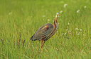 BUITEN BEELD Foto: 293179