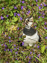 BUITEN BEELD Foto: 293180