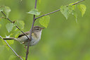 BUITEN BEELD Foto: 293245