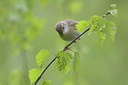 BUITEN BEELD Foto: 293248