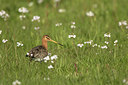 BUITEN BEELD Foto: 293286