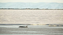 BUITEN BEELD Foto: 293369