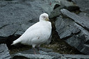 BUITEN BEELD Foto: 293421