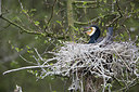 BUITEN BEELD Foto: 293458