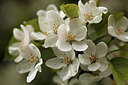BUITEN BEELD Foto: 293467