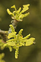 BUITEN BEELD Foto: 293475