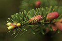 BUITEN BEELD Foto: 293485