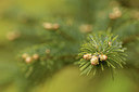 BUITEN BEELD Foto: 293486