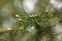 BUITEN BEELD Foto: 293487