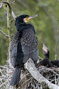 BUITEN BEELD Foto: 293567