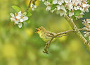 BUITEN BEELD Foto: 293607