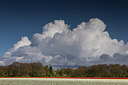 BUITEN BEELD Foto: 293612