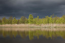 BUITEN BEELD Foto: 293622