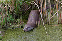 BUITEN BEELD Foto: 293635
