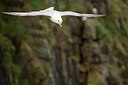 BUITEN BEELD Foto: 293659