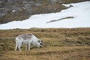 BUITEN BEELD Foto: 293687