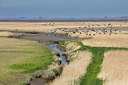 BUITEN BEELD Foto: 293808