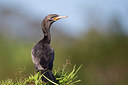 BUITEN BEELD Foto: 293902