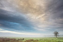 BUITEN BEELD Foto: 294005