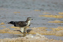 BUITEN BEELD Foto: 294101