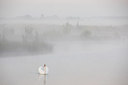 BUITEN BEELD Foto: 294151
