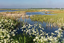 BUITEN BEELD Foto: 294195